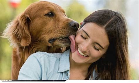 mujeres follando con perros grandes|Mujer folla por toda la habitación con perro grande